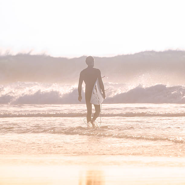 istock Silhouette of surfer on beach with surfboard. 514372512