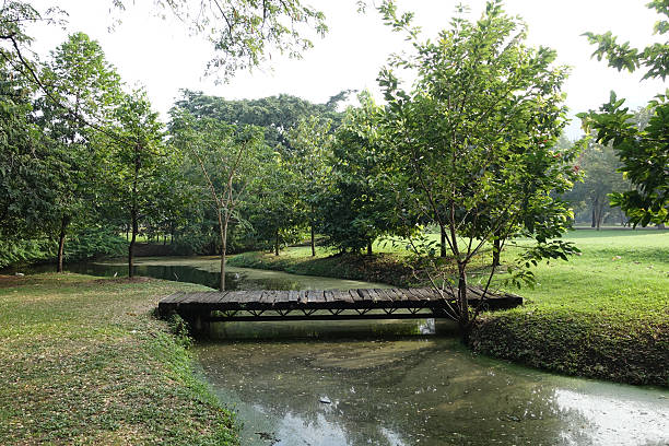 istock Wood Bridge In The Park 514374214