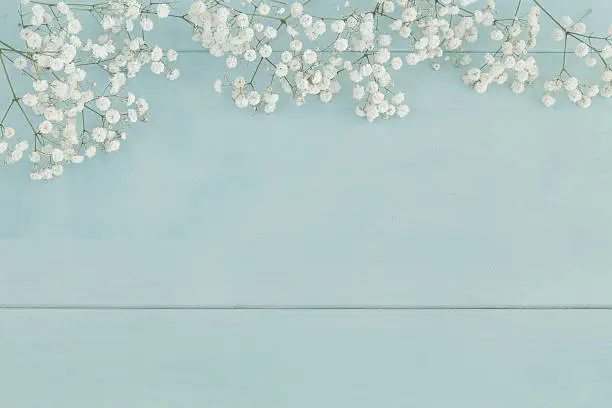 Simple spring background with baby's breath flowers