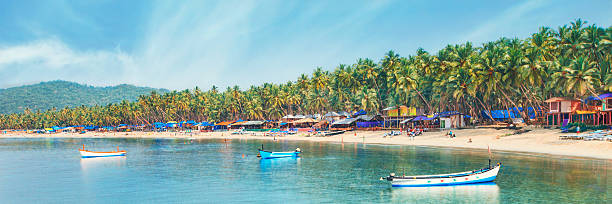 indien, goa, strand von palolem - goa stock-fotos und bilder