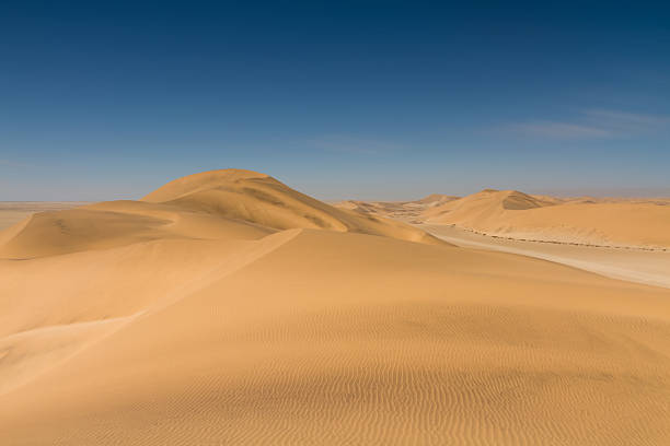 istock Yellow sand dunes at Swakopmund 514378157