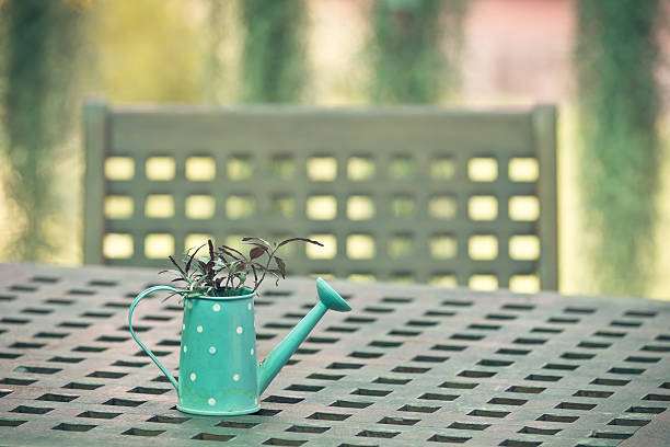 Small tree in watering can on the green wooden table.