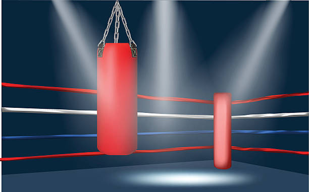 боксёрский кольцо угол - boxing ring fighting rope stadium stock illustrations
