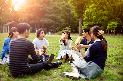 Happy group of Japanese friends eat in the park, Tokyo. They are sitting on the grass in the park and eat and drink and laugh. Image is taken during Tokyo Istockalypse 2015