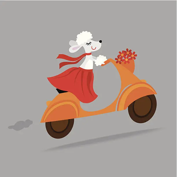 Vector illustration of Cute dog riding a vespa scooter