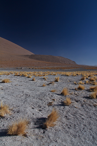 Atacama desert on Chilean Bolivian border.