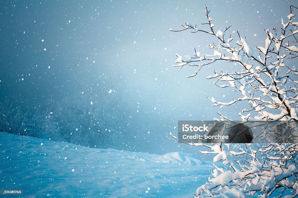 Schnee Herbst - Lizenzfrei Schneesturm Stock-Foto