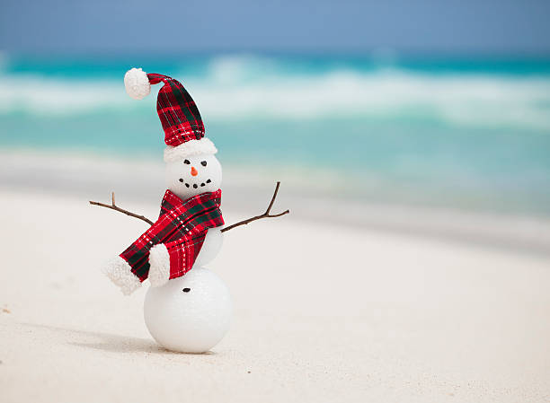 istock Snowman on Beach in Cancun Mexico next to Caribbean Ocean 514384758