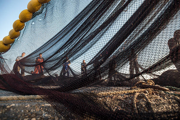 los pescadores sobre la pesca en bote - commercial fishing net netting fishing striped fotografías e imágenes de stock