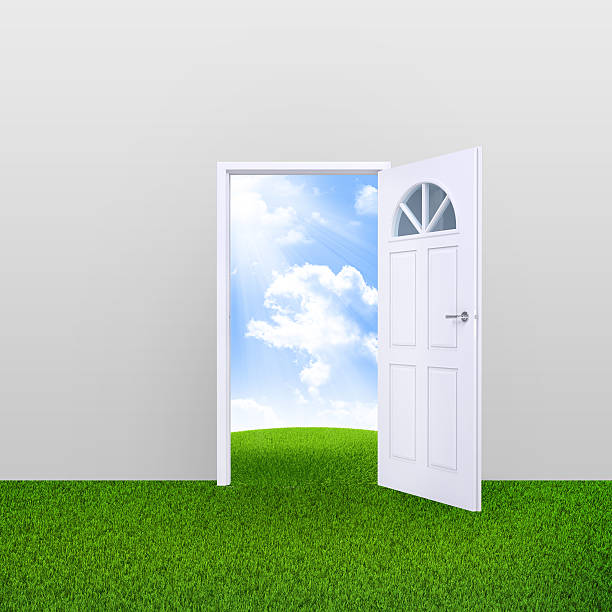 istock Open door with nature landscape 514398911
