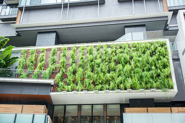 istock Vertical Garden of Ferns on Modern Building 514401535