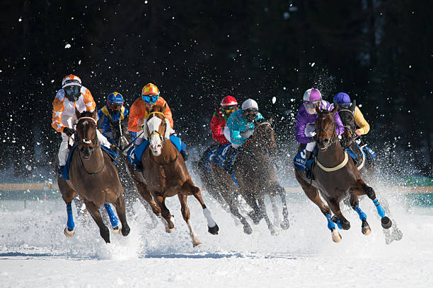 White Turf St. Moritz St.Moritz, Switzerland - February 21, 2016: Seven Horse Racing Jockey in colorful clothes, on a galloping race horses, take part in the "White Turf", one of the most spectacular race in the world. The racetracks runs across the frozen lake of St. Moritz. In the background is the forest in the shade. The photo was taken on the third Sunday. The white turf always takes place on three Sundays in February. But this only when it comes from the weather is concerned. The operator admixtures must be good because otherwise the horses sink into the snow. For the Engadin this occasion is a Giant festival. The photo was taken in the middle of the track on the frozen Lake St. Moritz. graubunden canton stock pictures, royalty-free photos & images