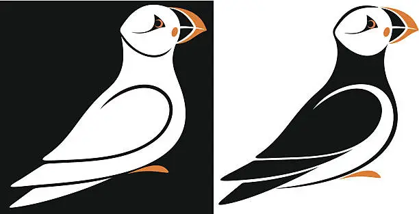 Vector illustration of Puffins