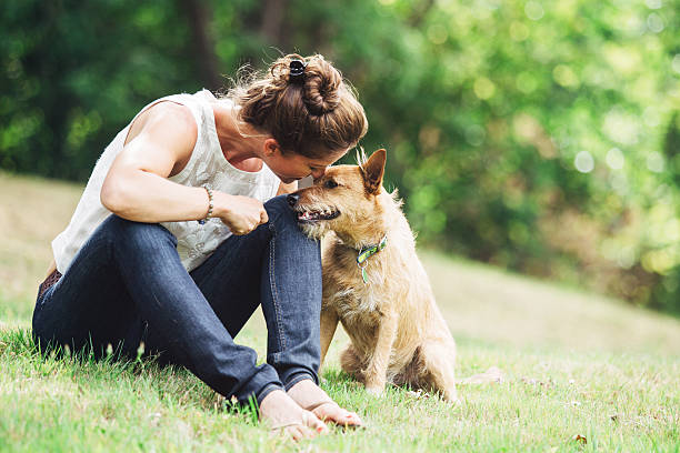 Adult Woman Enjoying Time with Pet Dog A mature Caucasian woman has relaxing fun playing with her dog in a beautiful park setting. She lovingly talks to him with a smile on her face. They rest in the grass, the woman arm over the dog. Horizontal image with copy space. lady dog stock pictures, royalty-free photos & images