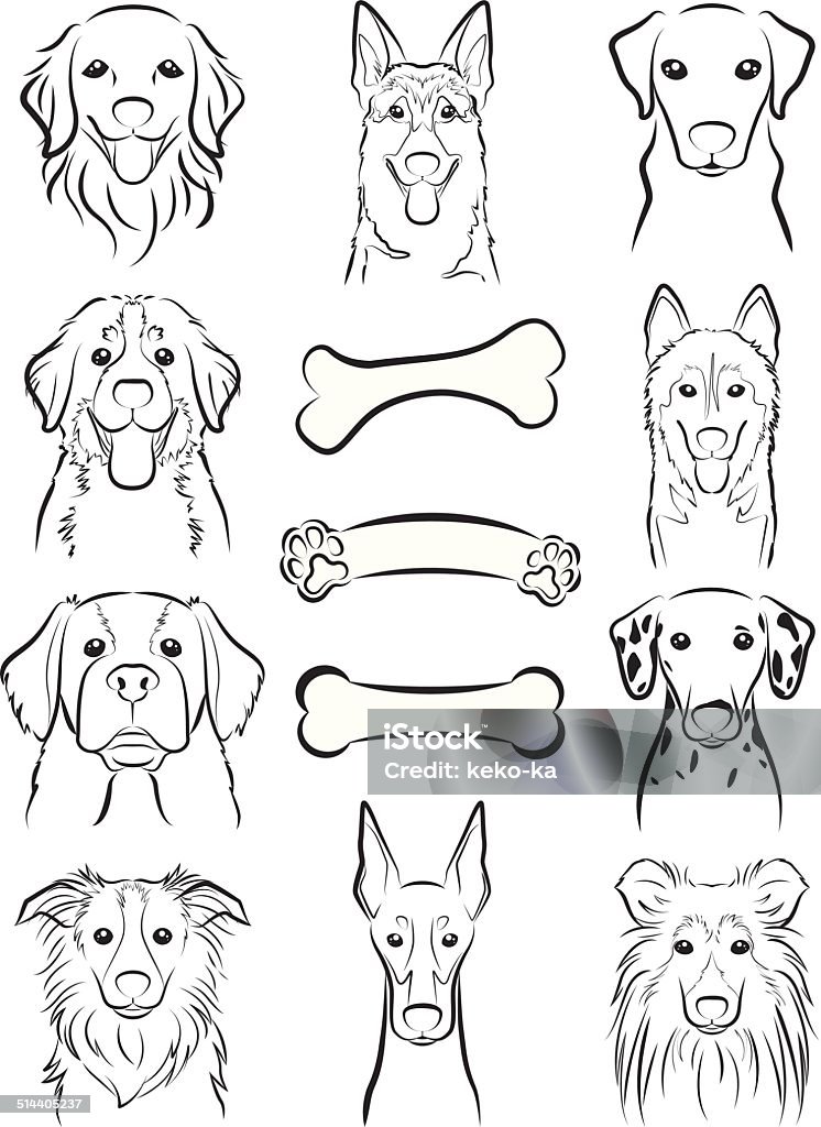 Dog / Line drawing Illustration of the face of the dog Dog stock vector