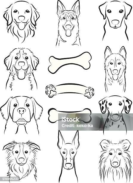 Dog Line Drawing Stock Illustration - Download Image Now - Dog, Golden Retriever, Dog Bone