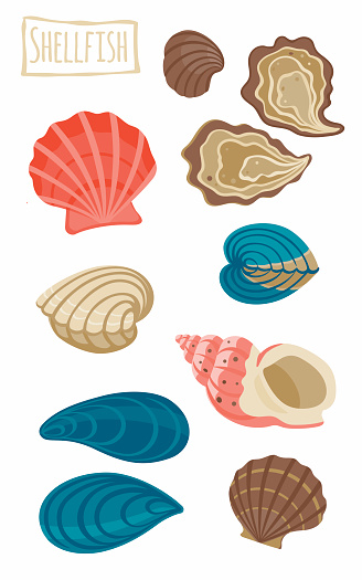 Shellfish Creative Images Shellfish Stock Illustration - Download Image Now - Oyster ...