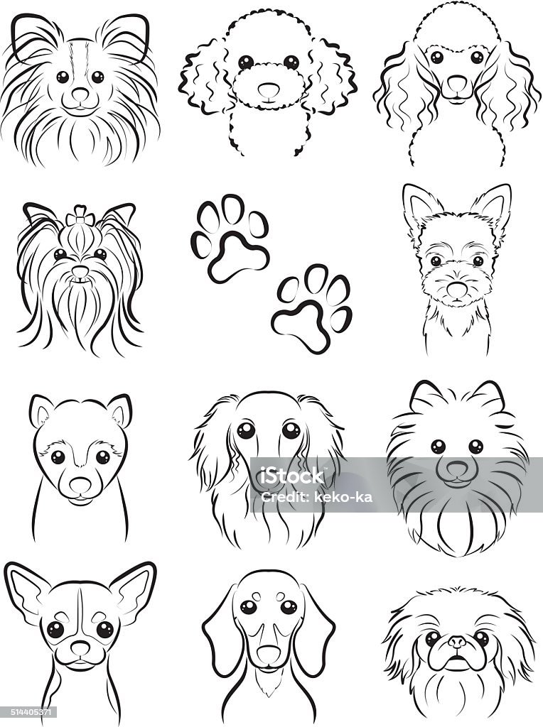 Dog / Line drawing Illustration of the face of the dog Dog stock vector