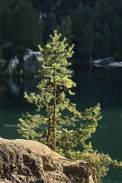 istock Adrspach-Teplice Rocks. Czech Republic 514405860