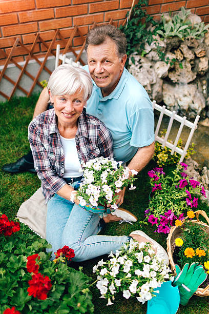 istock Senior Couple Planting Flowers Together. 514410176