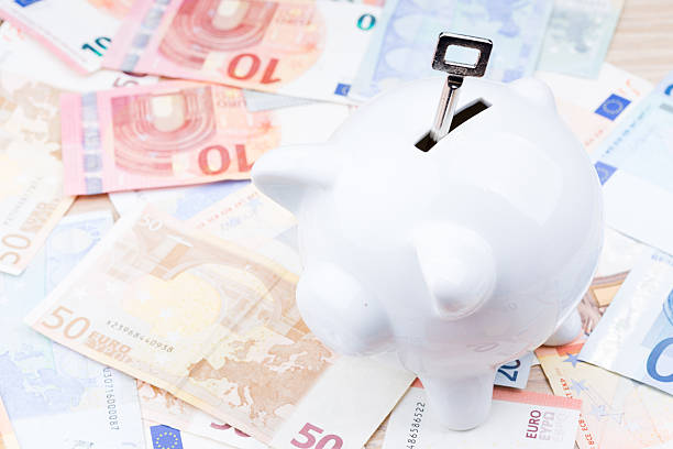 istock Key in a piggy bank on banknotes 514410396