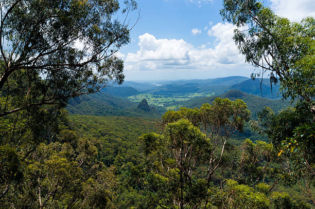 istock Beautiful valley in tropical rainforest view from above 514411044