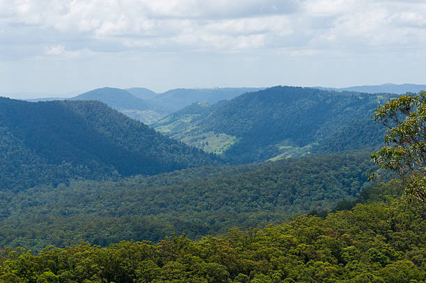istock Beautiful valley in tropical rainforest view from above 514411172