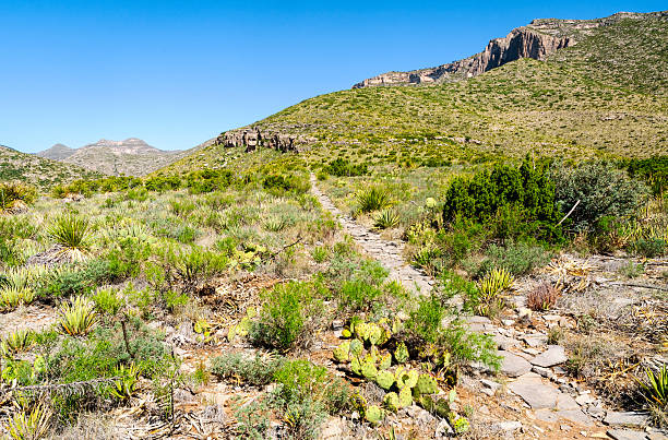 istock Guadalupe Mountains National Park 514414450