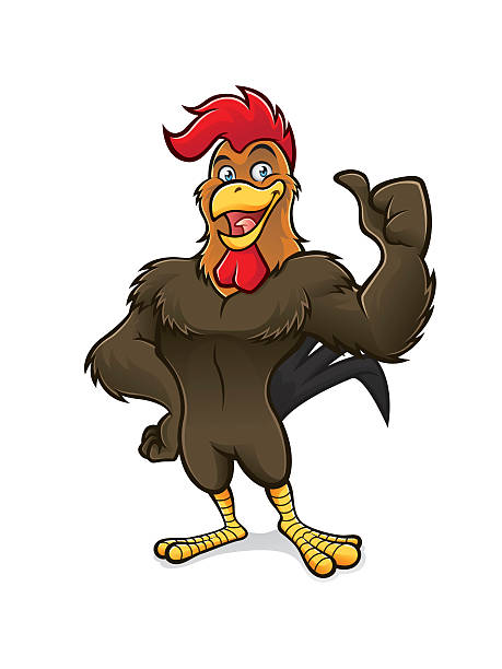 Cartoon Rooster Thumb Up cartoon rooster standing confidently with a smile and thumbs up chicken thumbs up design stock illustrations