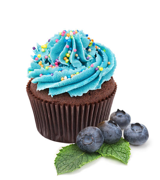 istock chocolate cupcake with fresh blueberry isolated on white 514415830