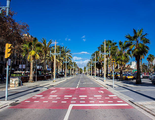 Boulevard covered palm trees in Barcelona, Spain. Horizontal composition. Image developed from Raw format.
