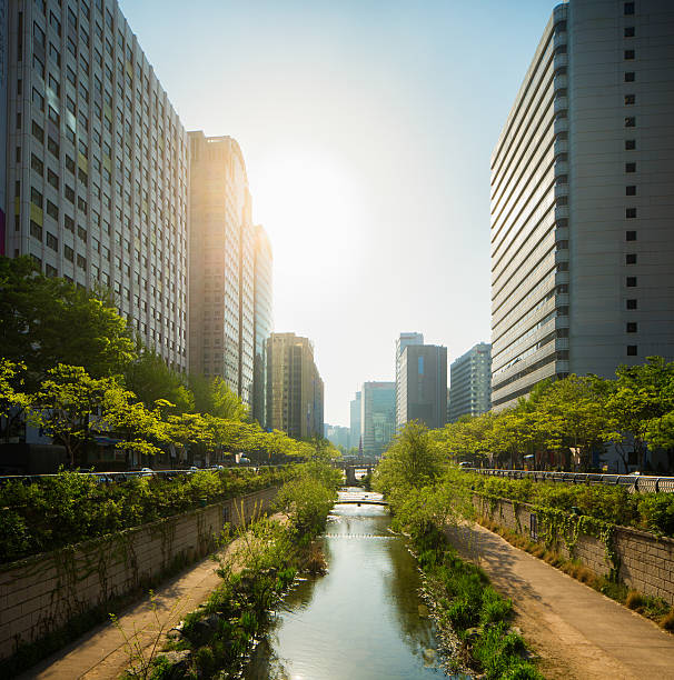 istock Seoul Cheonggyechon River promenade frontal view with sunset 514418712