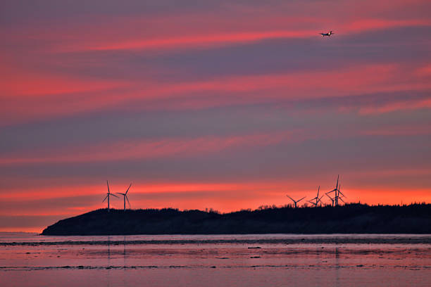 wind mills on Fire Island stock photo