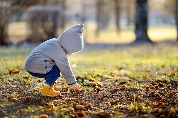 Photo of Toddler walking outdoors at the warm spring day