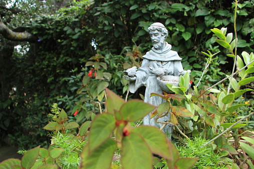 St. Francis of Assissi statue in a flower bed of a garden in Mexico.