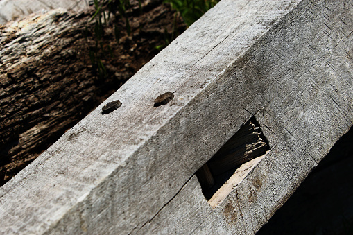 Pinned mortise and tenon joints from a dismantled old barn are visible in the pile of stacked and saved beams.  These were part of one of the most photographed barns in McLean County.  The barn stood just west of the Expansion plot of the Funks Grove Cemetery.