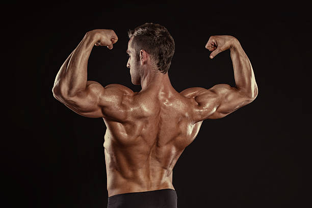 istock Strong Athletic Man Fitness Model posing back muscles, triceps, 514423321