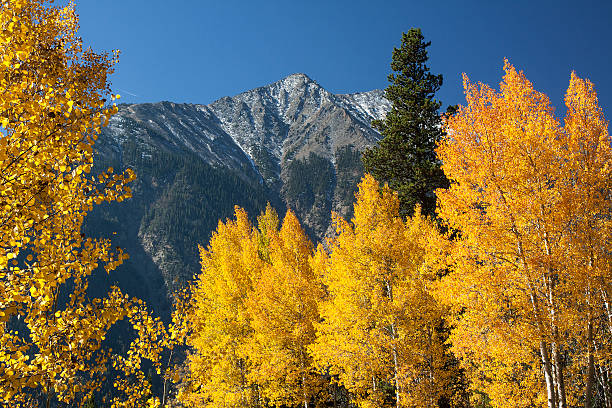 istock Falls Colors-Rocky Mountains-stock image 514424166