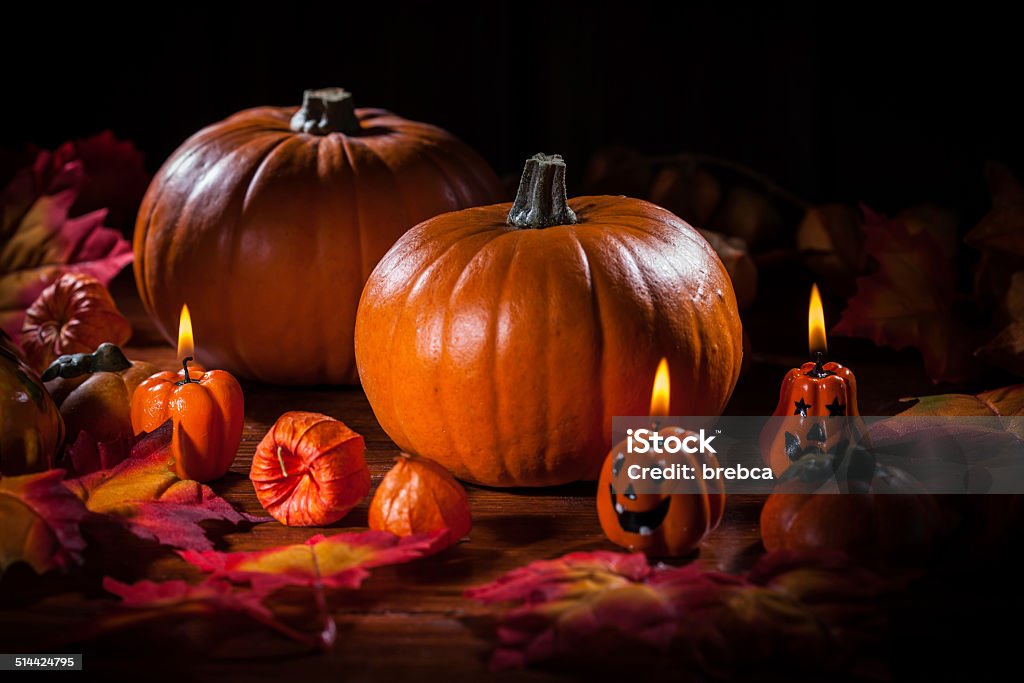 Pumpkins for Thanksgiving and  Halloween Traditional pumpkins for Thanksgiving and  Halloween Agriculture Stock Photo