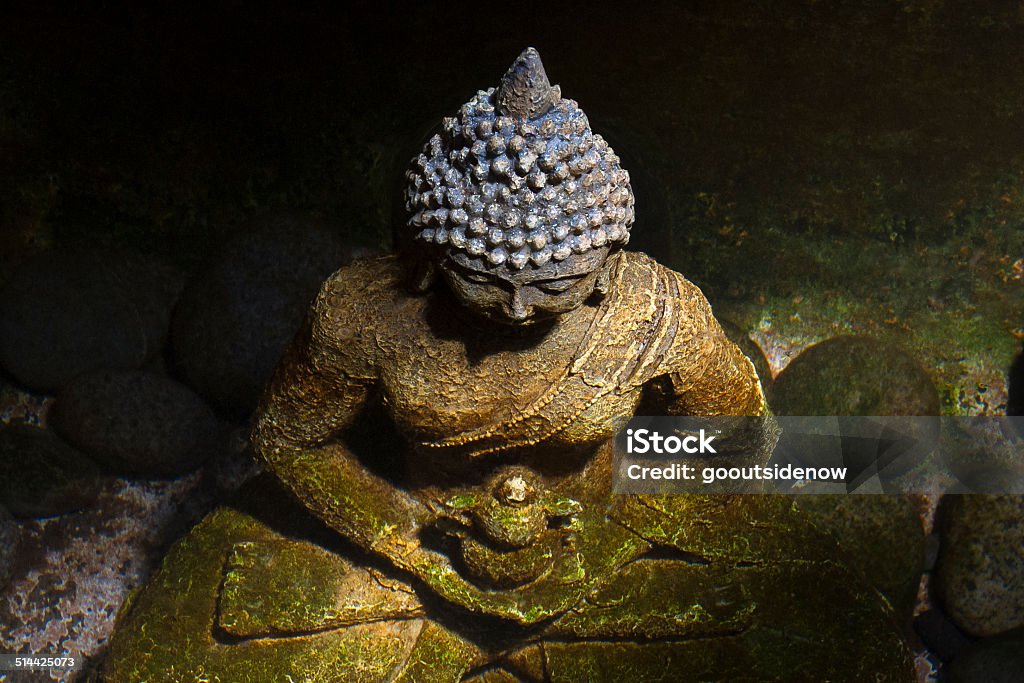 Buddha statue in pond A statue of Buddha resting in a mossy pond. The dramatic ambient light and predominantly earth color tones are suggestive of peacefulness, quiet, and tranquility. Aerial View Stock Photo