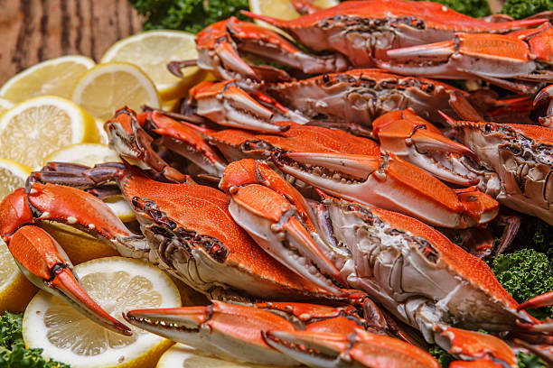 istock Steamed Blue Crabs on a wooden table 514435845