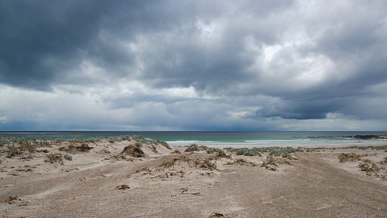 Falkland/Malvinas Islands (2013).