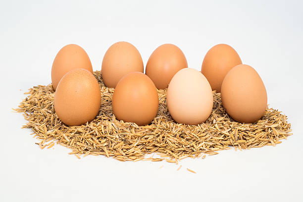 Fresh eight eggs on husk stock photo