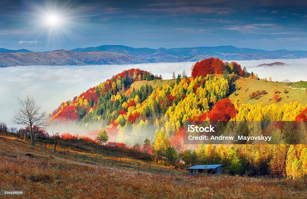 Colorful autumn landscape in the mountain village. Colorful autumn landscape in the mountain village. Foggy morning in the Carpathian mountains. Sokilsky ridge, Ukraine, Europe. Autumn Stock Photo