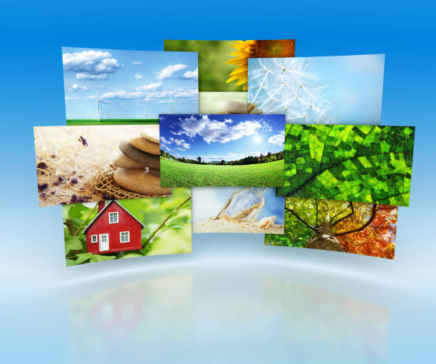 istock Collection of images 514440589