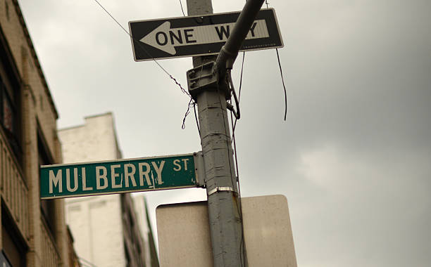 istock Mulberry Street 514441913