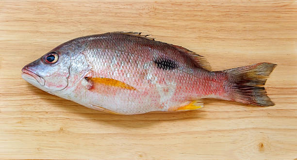 istock Red snapper fish on Wooden 514442923