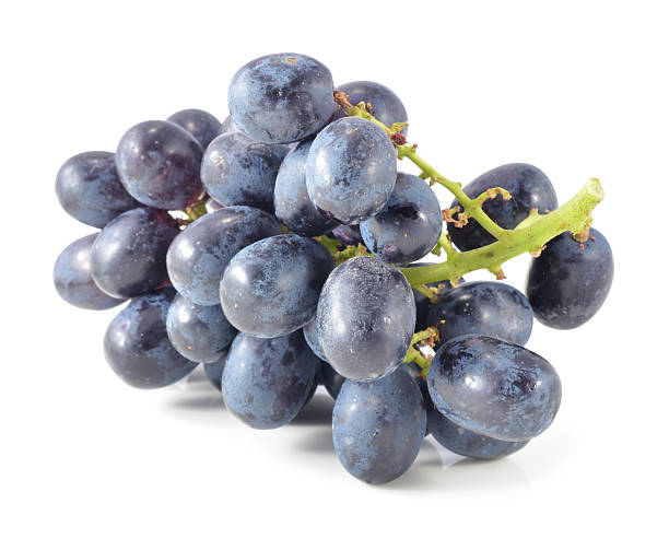 istock Dark grapes, Isolated on white background 514454153