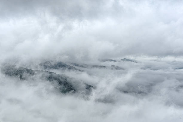 istock Fog and cloud mountain valley landscape 514454289