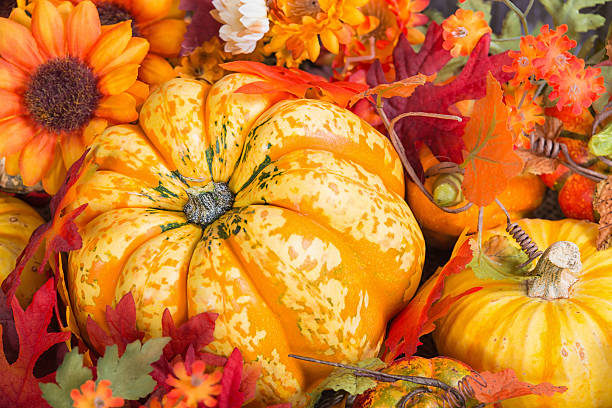 istock Closeup of a colorful autumn display with a squash fruit 514454793